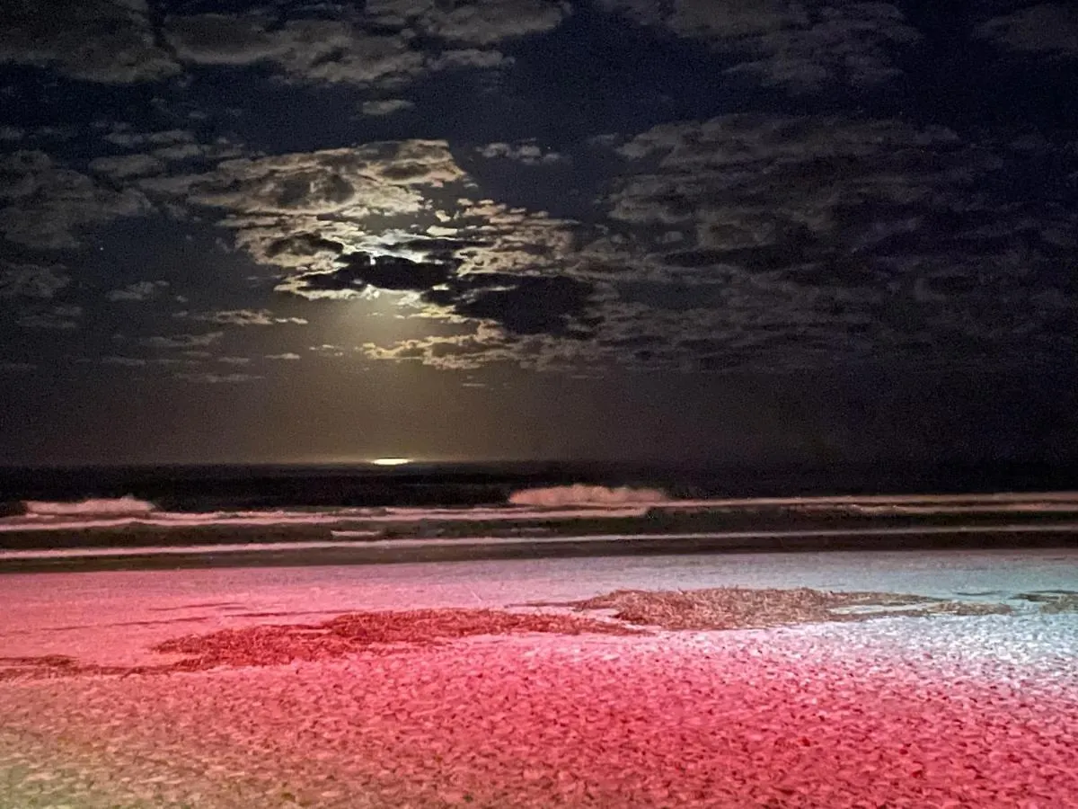 Daytona Inn Beach Resort On Worlds Most Famous Beach Daytona Beach United States
