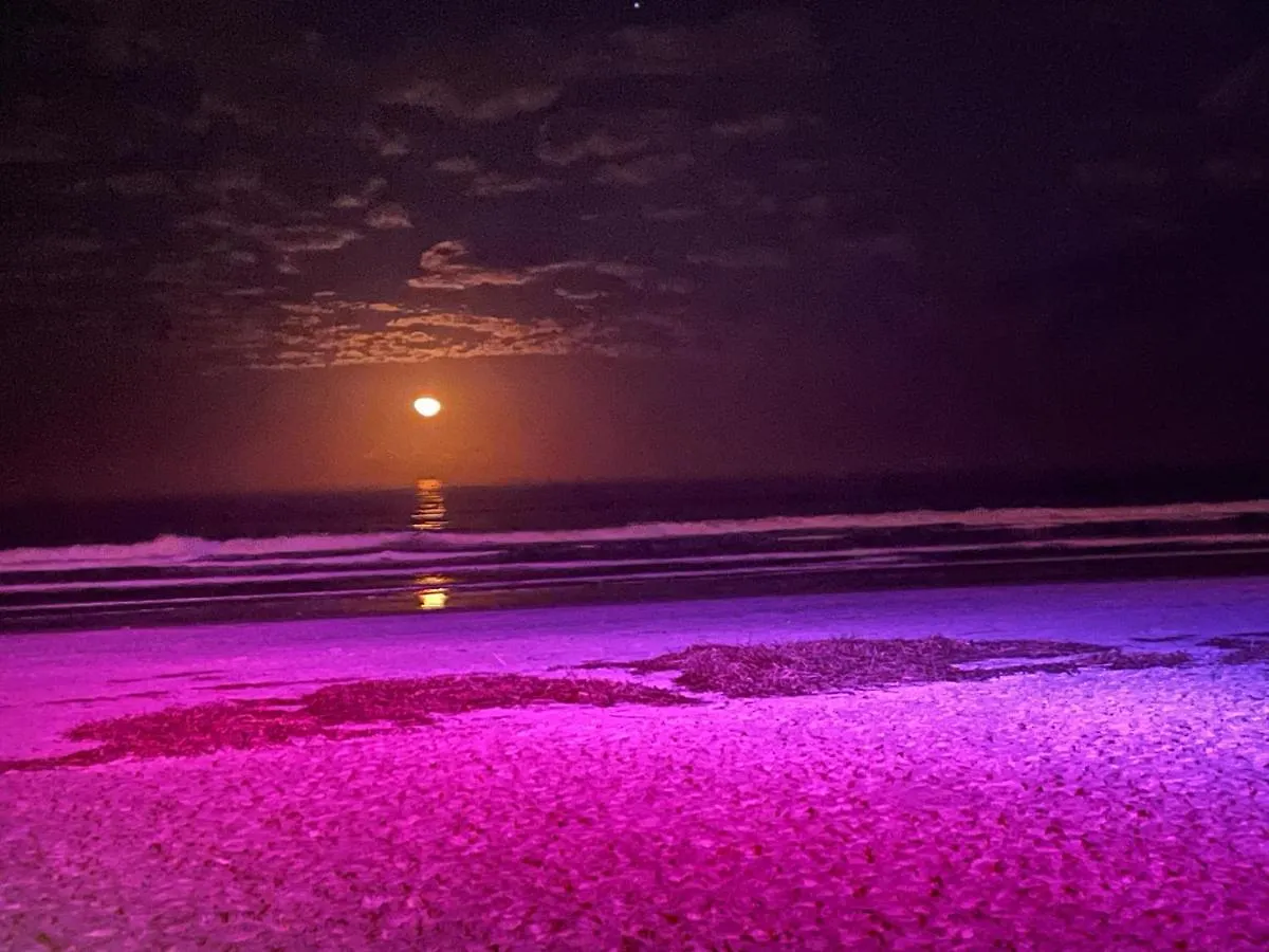 Apartment Daytona Inn Beach Resort On Worlds Most Famous Beach Daytona Beach United States
